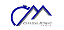 logo carrizalñ